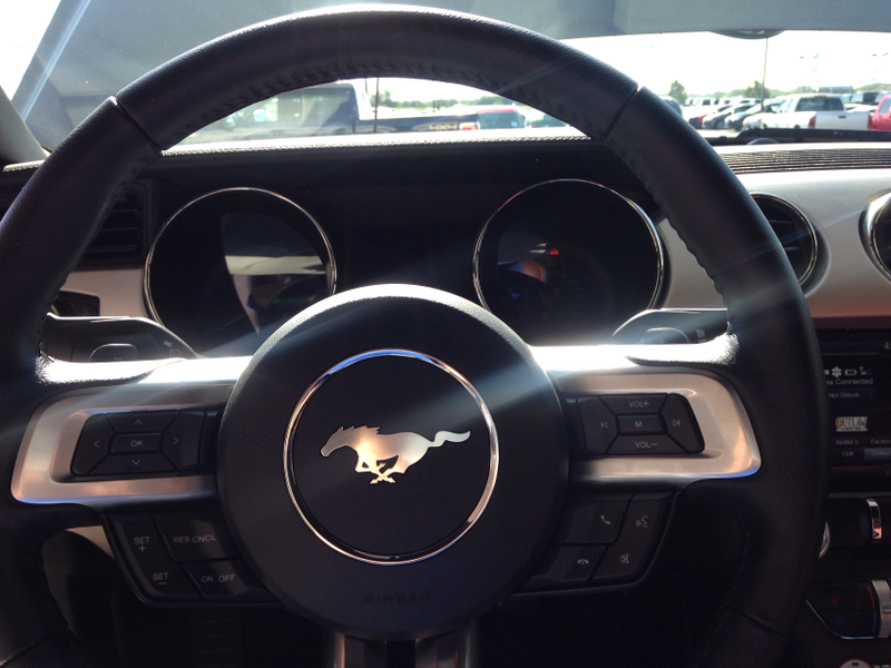 Illustration for article titled More pics of the Mustang